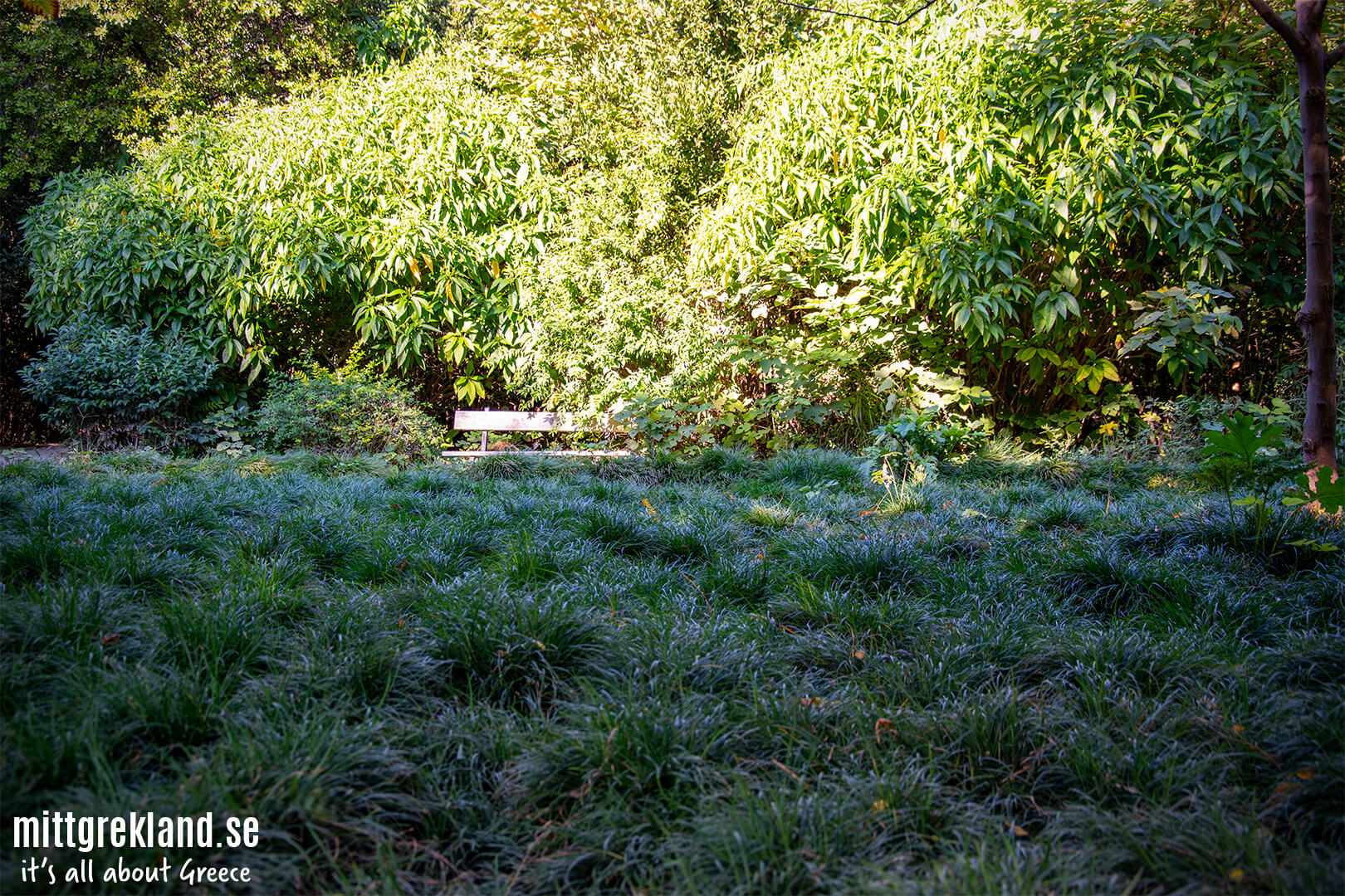 National Garden Aten