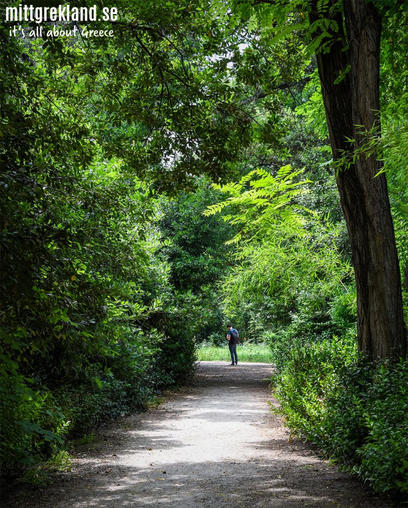 National Garden Aten