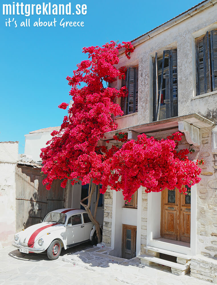 Chalki Naxos