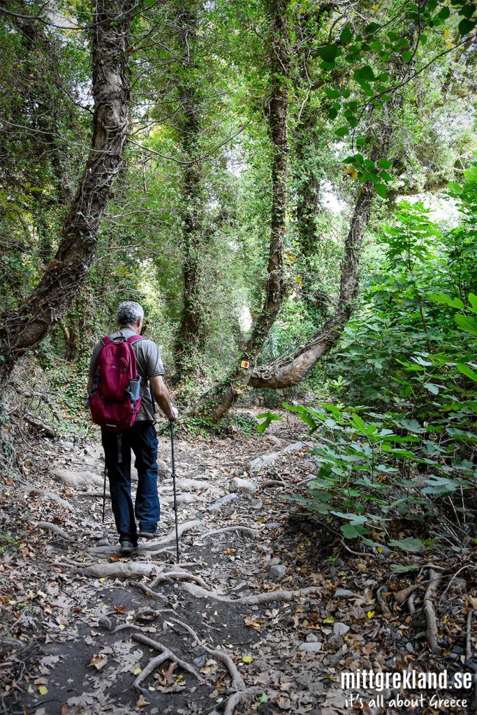 Richtis Ravinen Kreta