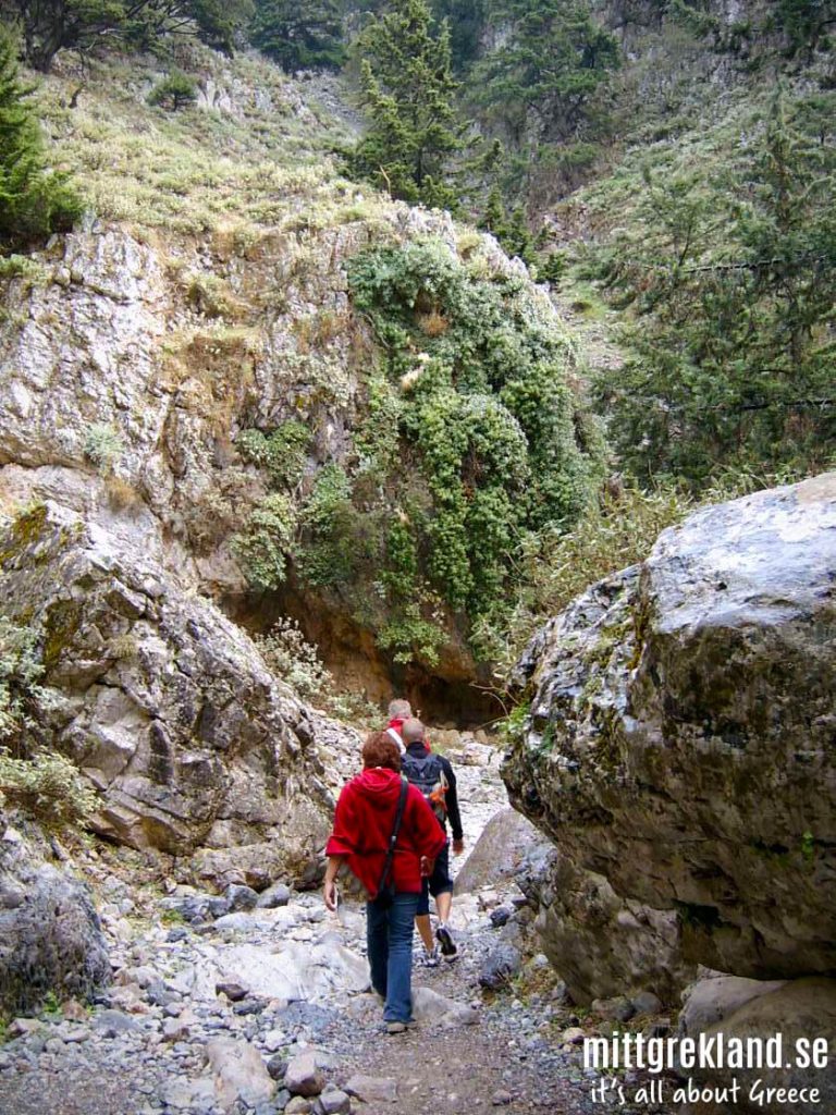 Samariaravinen Kreta