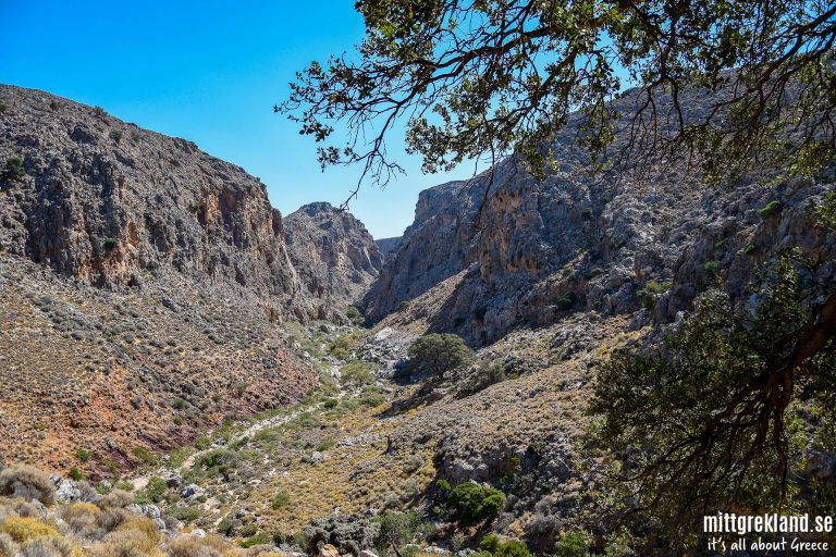 Zakros ravinen Kreta