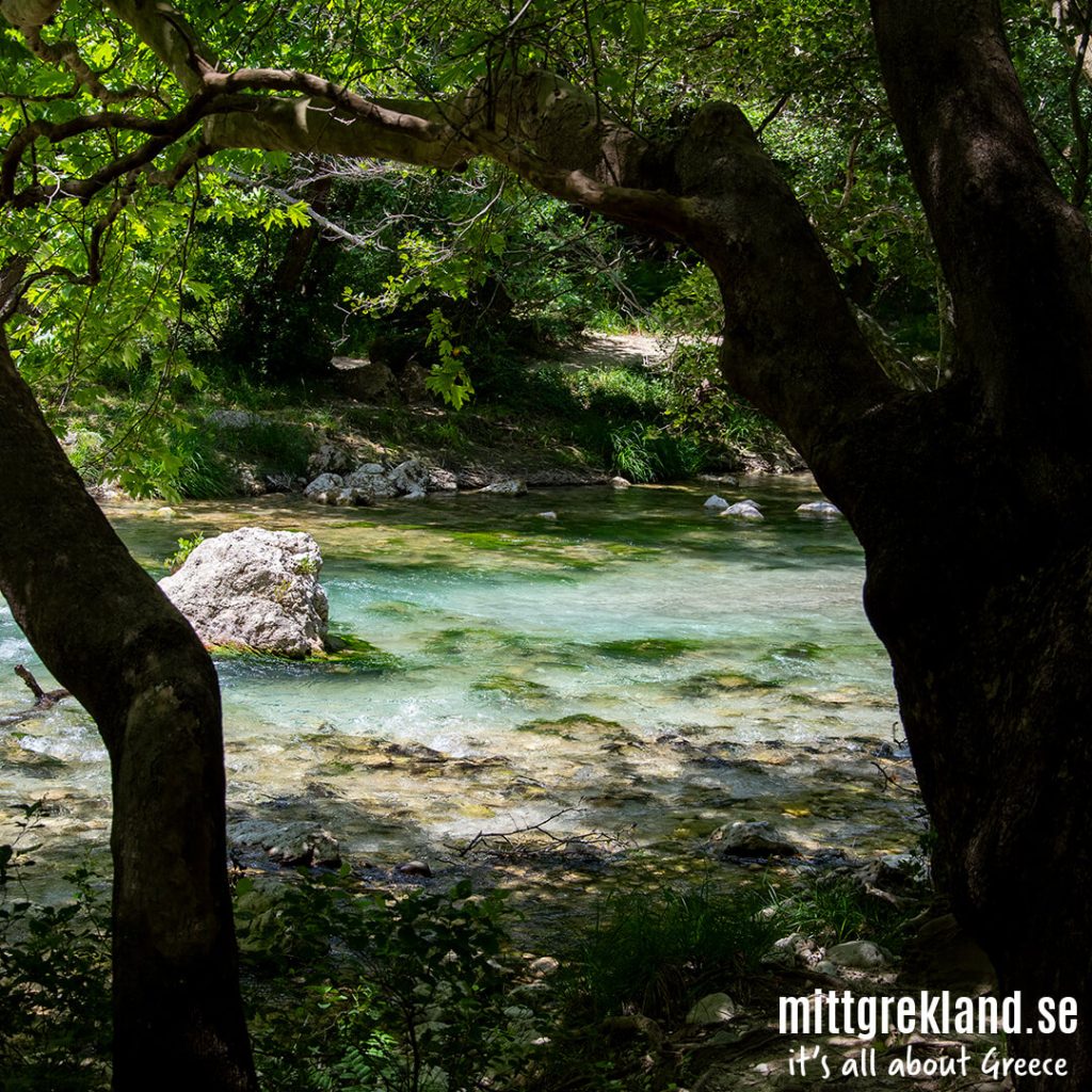 Acheron River